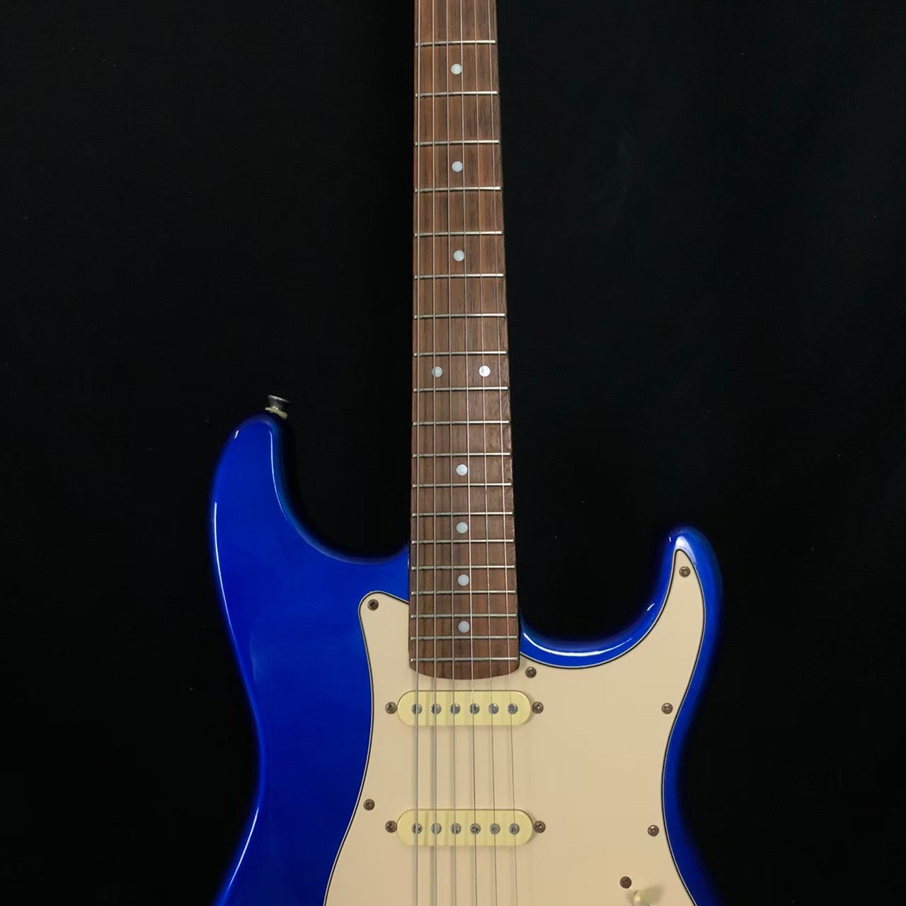 Photogenic Stratocaster