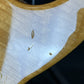 Schecter American Series Bass