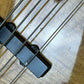 Schecter American Series Bass