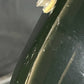 Fender Mexico Stratocaster Squier Series