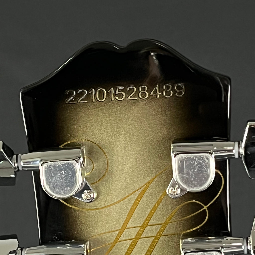 Epiphone Adam Jones Les Paul Custom “Self-Portrait as Not Dead Yet”