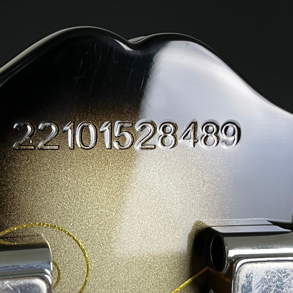 Epiphone Adam Jones Les Paul Custom “Self-Portrait as Not Dead Yet”