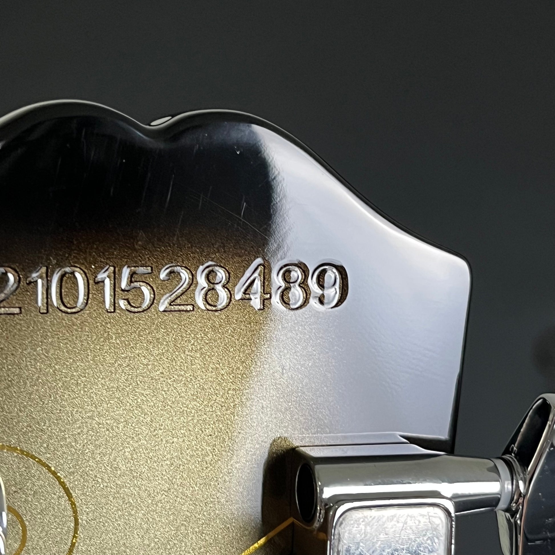 Epiphone Adam Jones Les Paul Custom “Self-Portrait as Not Dead Yet”