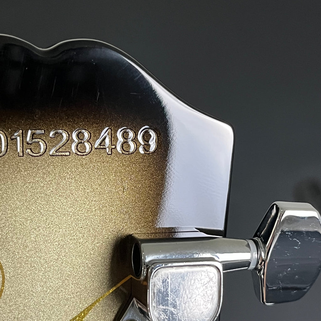 Epiphone Adam Jones Les Paul Custom “Self-Portrait as Not Dead Yet”