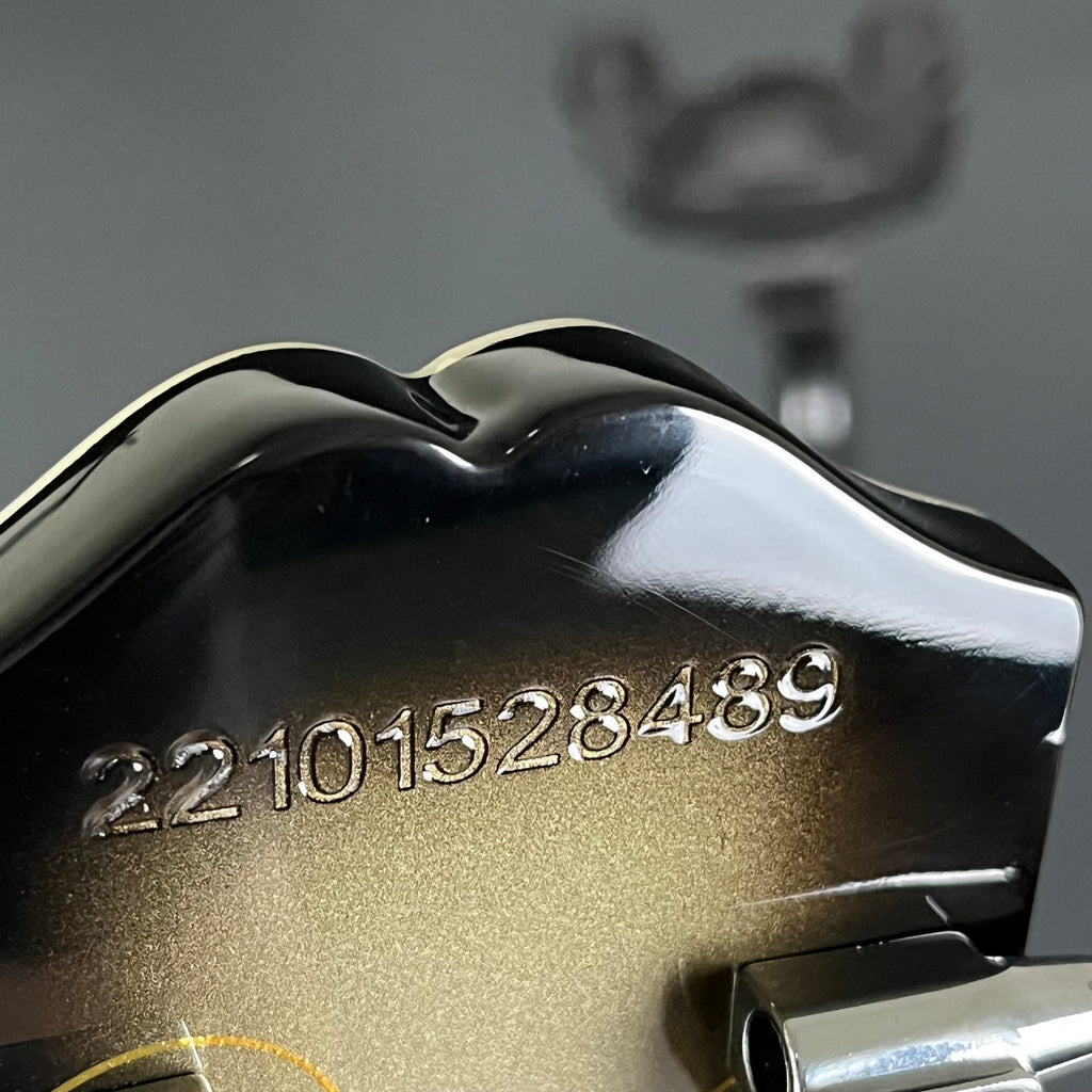 Epiphone Adam Jones Les Paul Custom “Self-Portrait as Not Dead Yet”