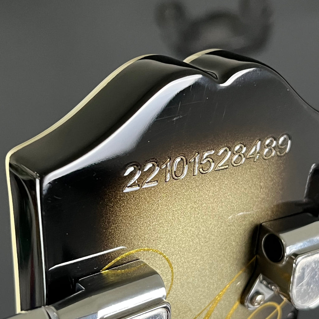 Epiphone Adam Jones Les Paul Custom “Self-Portrait as Not Dead Yet”