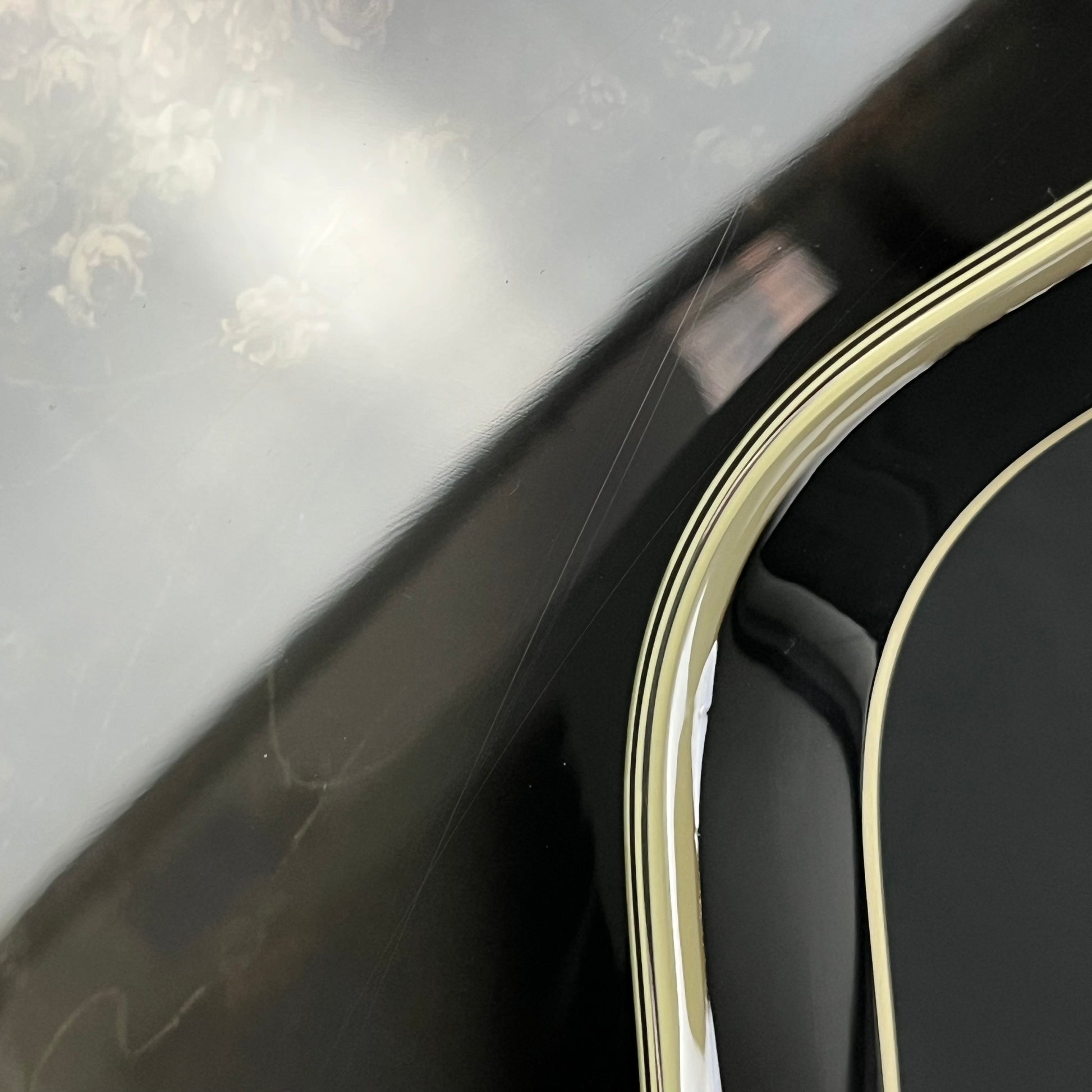 Epiphone Adam Jones Les Paul Custom “Self-Portrait as Not Dead Yet”