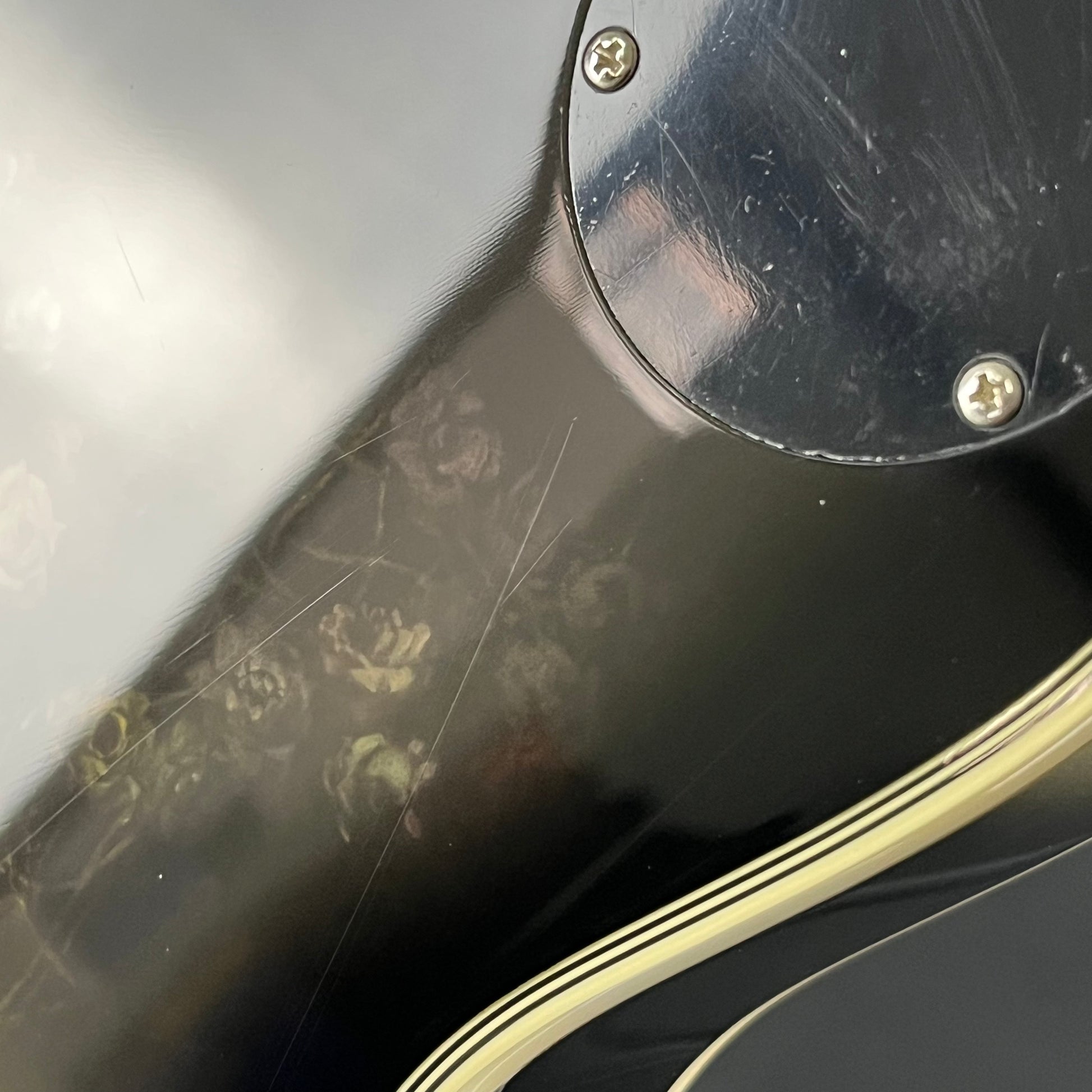 Epiphone Adam Jones Les Paul Custom “Self-Portrait as Not Dead Yet”