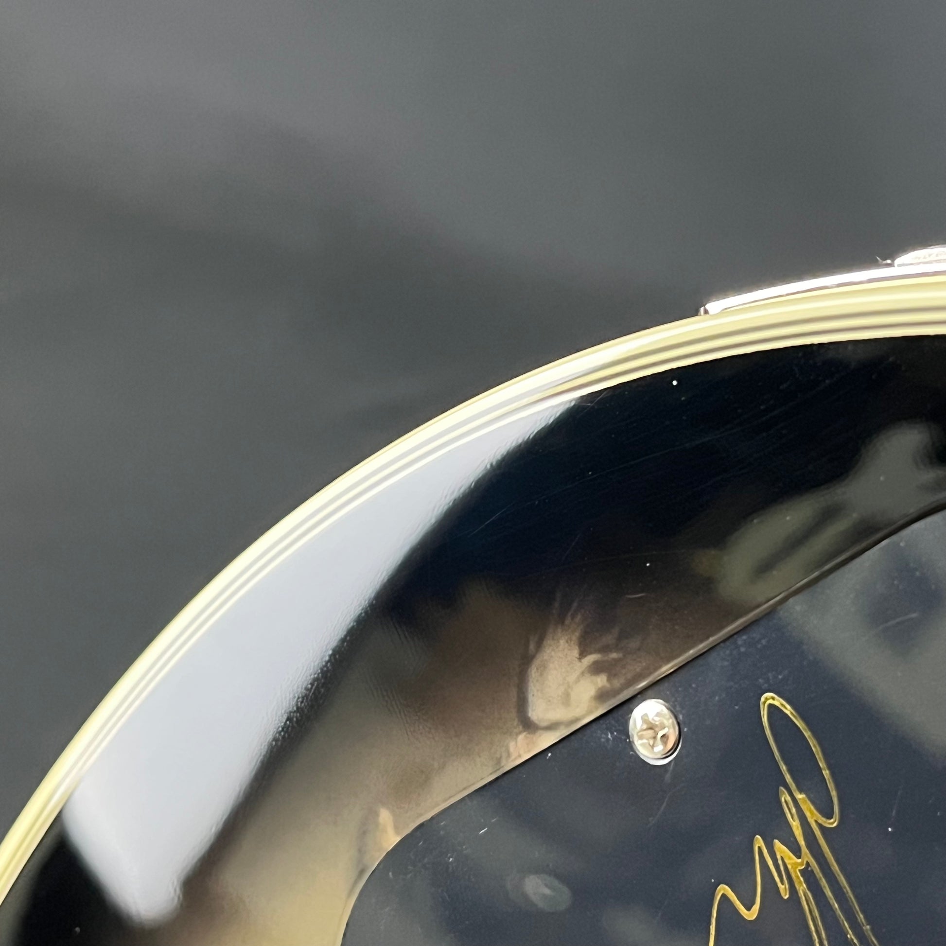 Epiphone Adam Jones Les Paul Custom “Self-Portrait as Not Dead Yet”