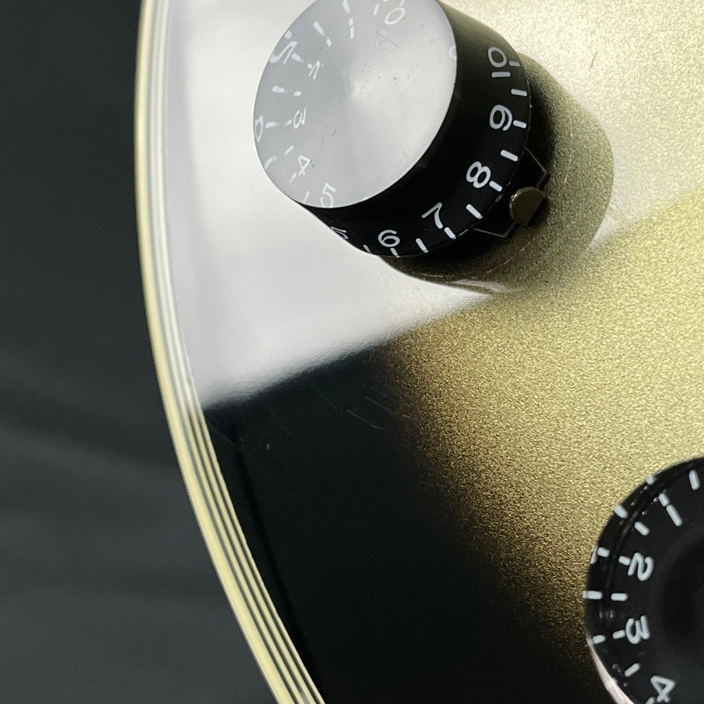 Epiphone Adam Jones Les Paul Custom “Self-Portrait as Not Dead Yet”