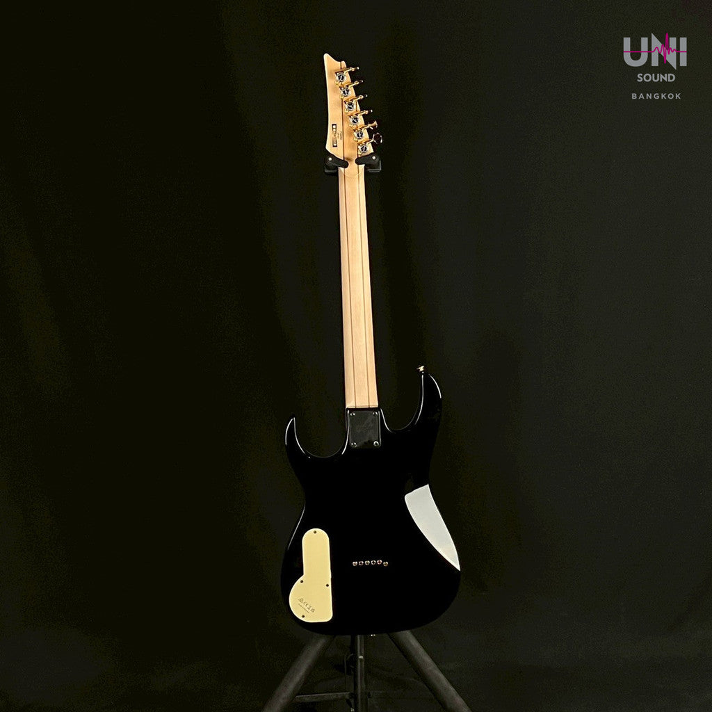 Ibanez PGM50 - UN-29-2673
