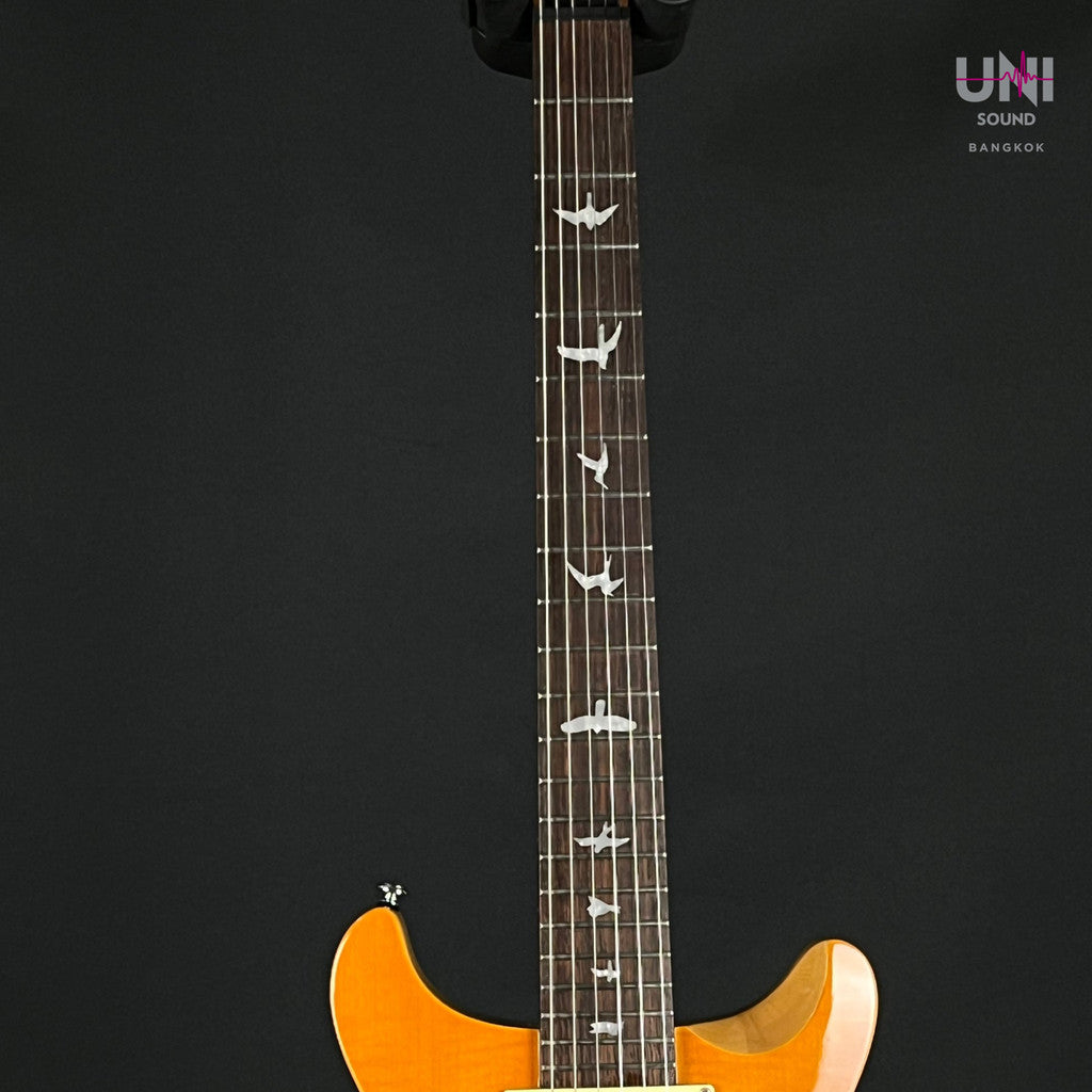 PRS SE Santana 2010 - UN-36-5145