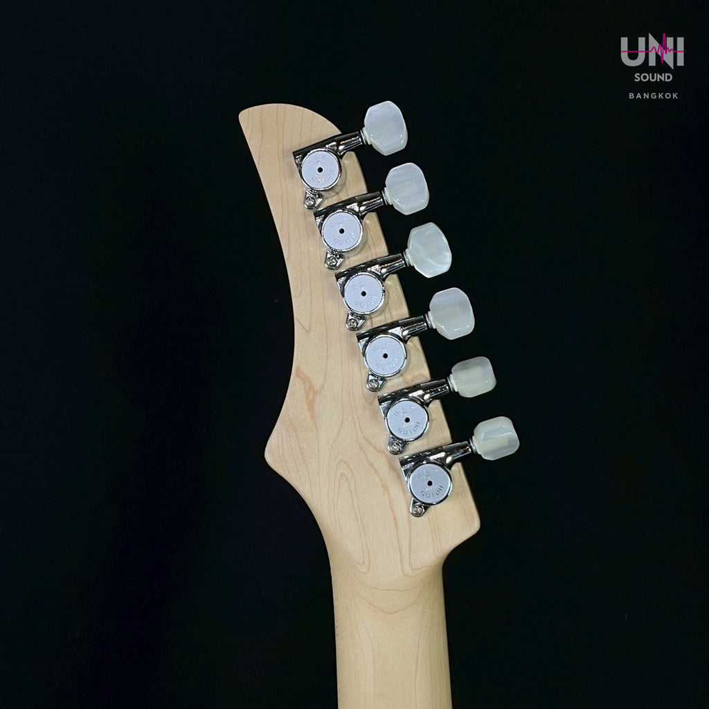 FERNANDES REGULUS Model - UN-33-3577