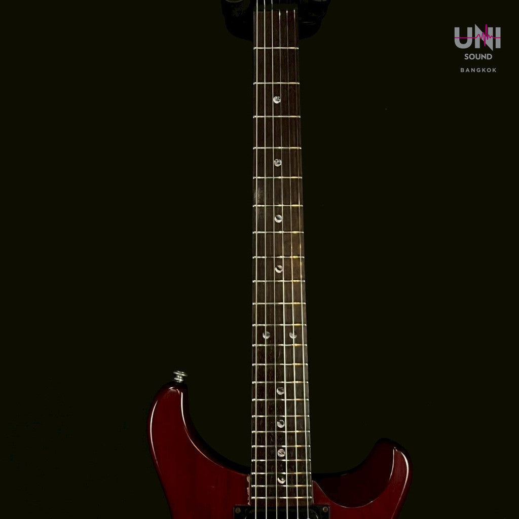 PRS SE Standard 2005 - UN-33-3490