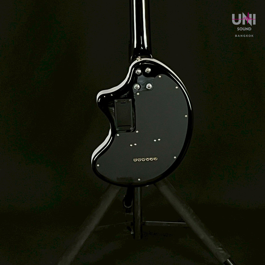 Fernandes ZO-3 Kashmir Jimmy Page - UN-31-3197