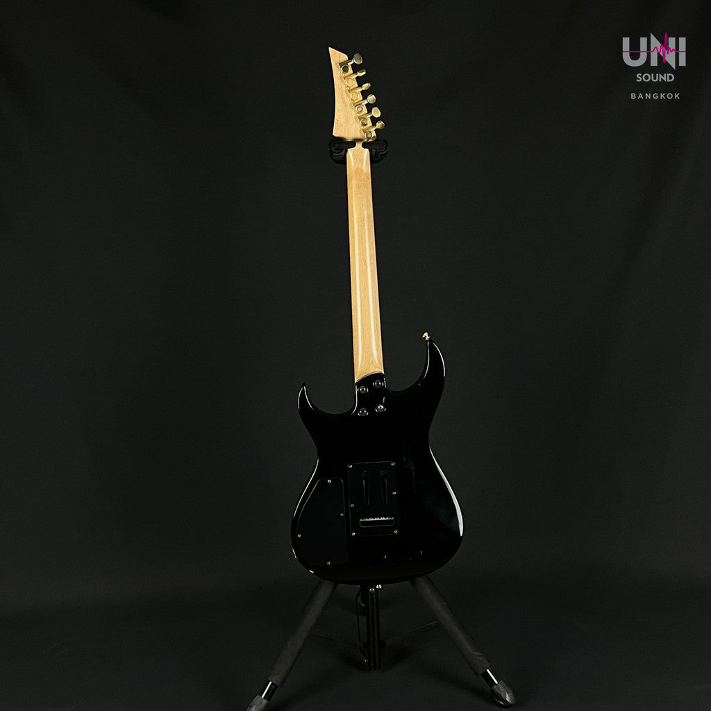 Fernandes FGZ-420 - UN-35-4588