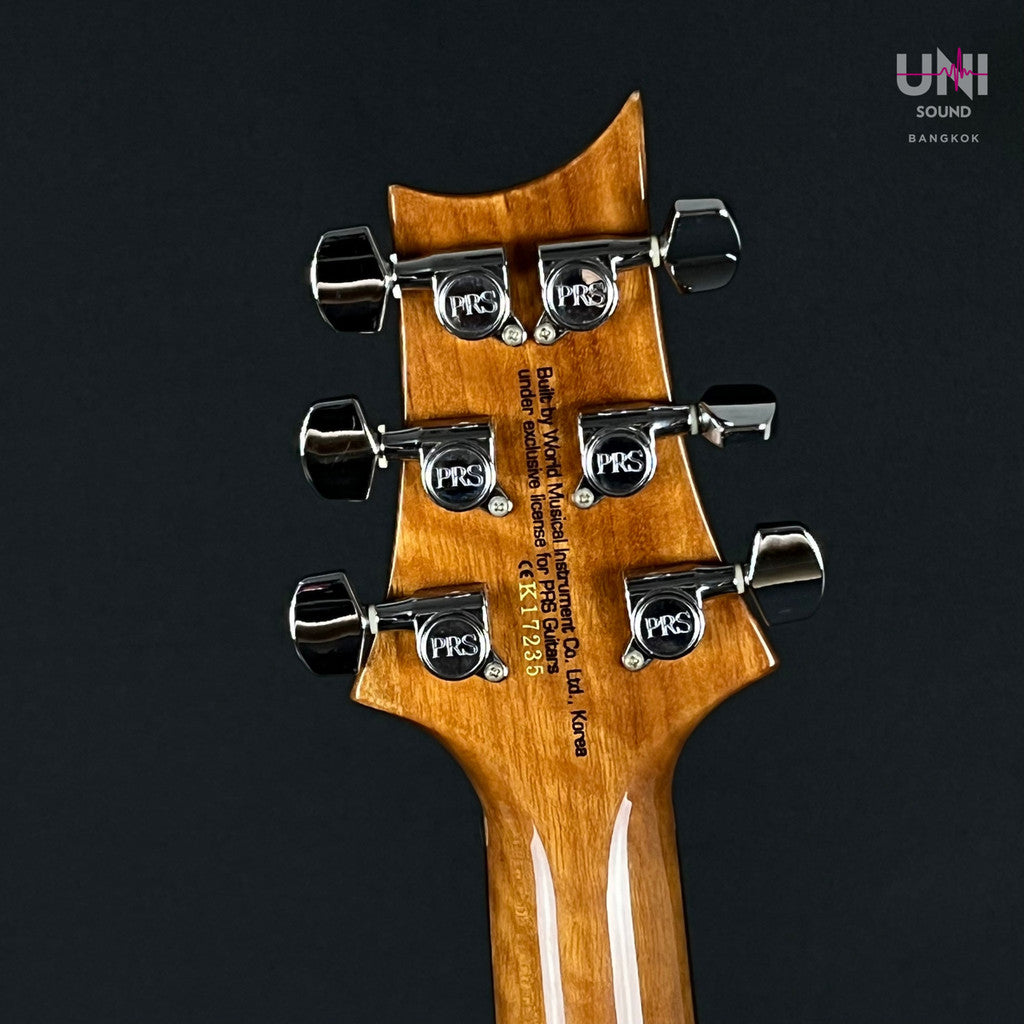 PRS SE Santana 2010 - UN-36-5145