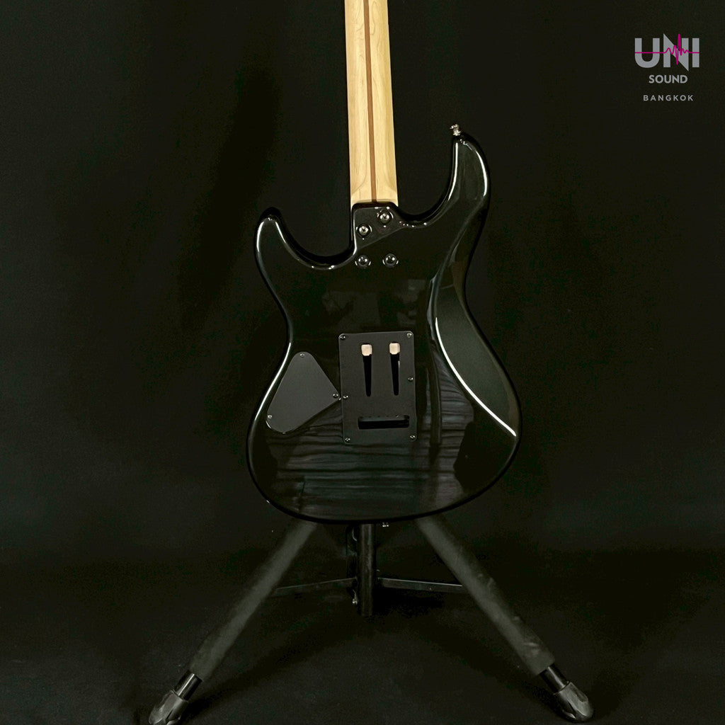 FERNANDES REGULUS Model - UN-33-3577