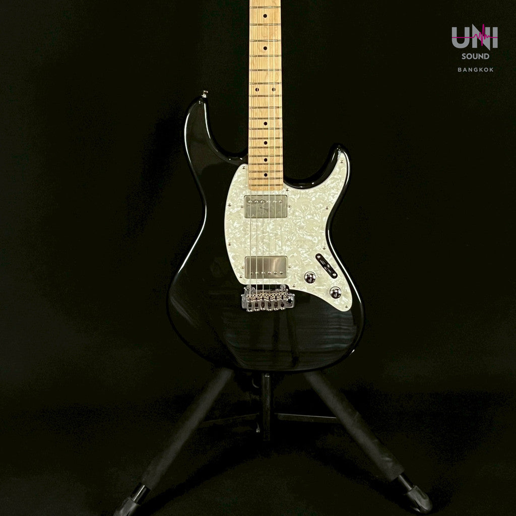 FERNANDES REGULUS Model - UN-33-3577