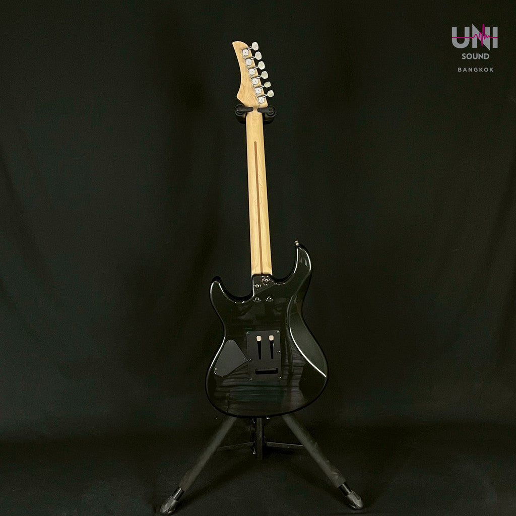 FERNANDES REGULUS Model - UN-33-3577