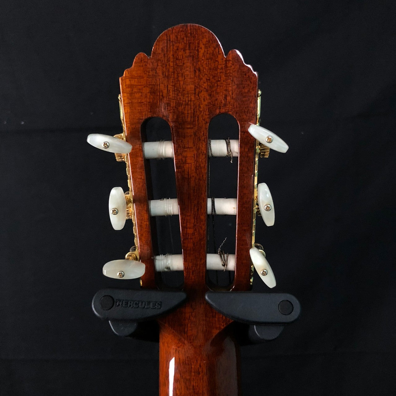 CONCERT GT