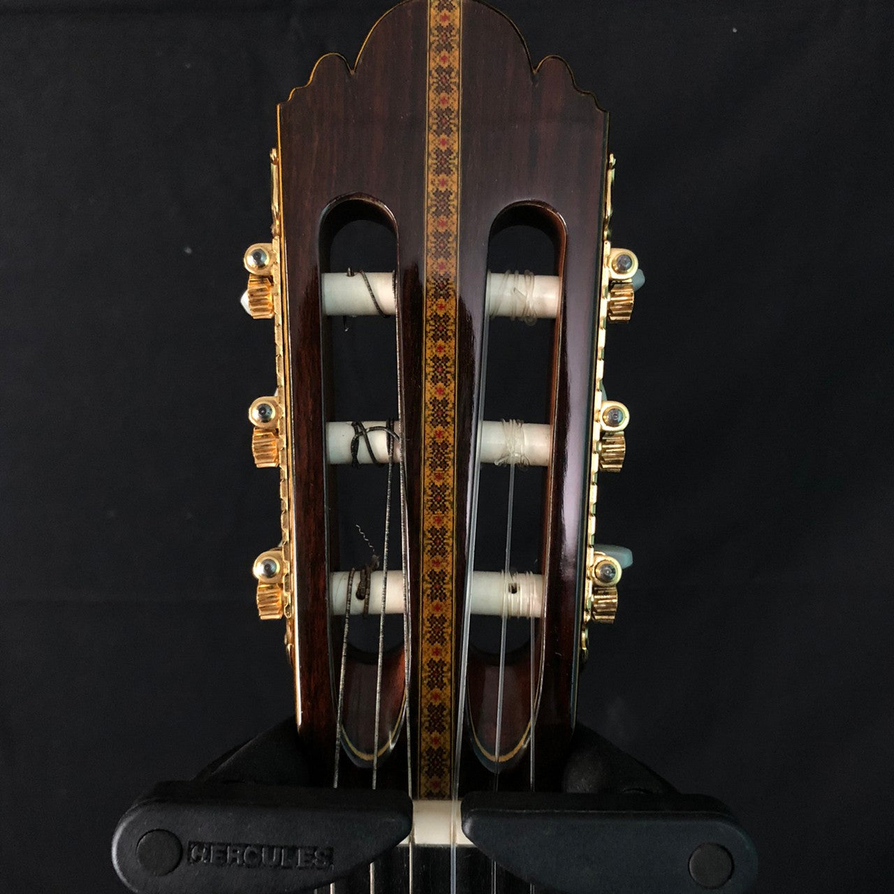 CONCERT GT
