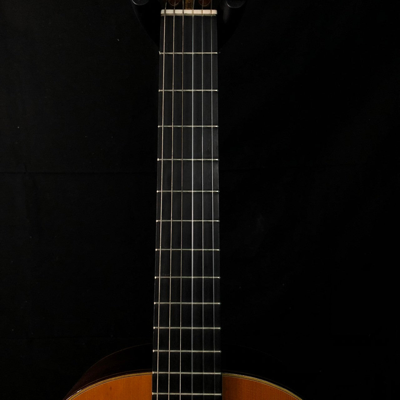 CONCERT GT
