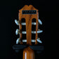 ARIA SA-20
