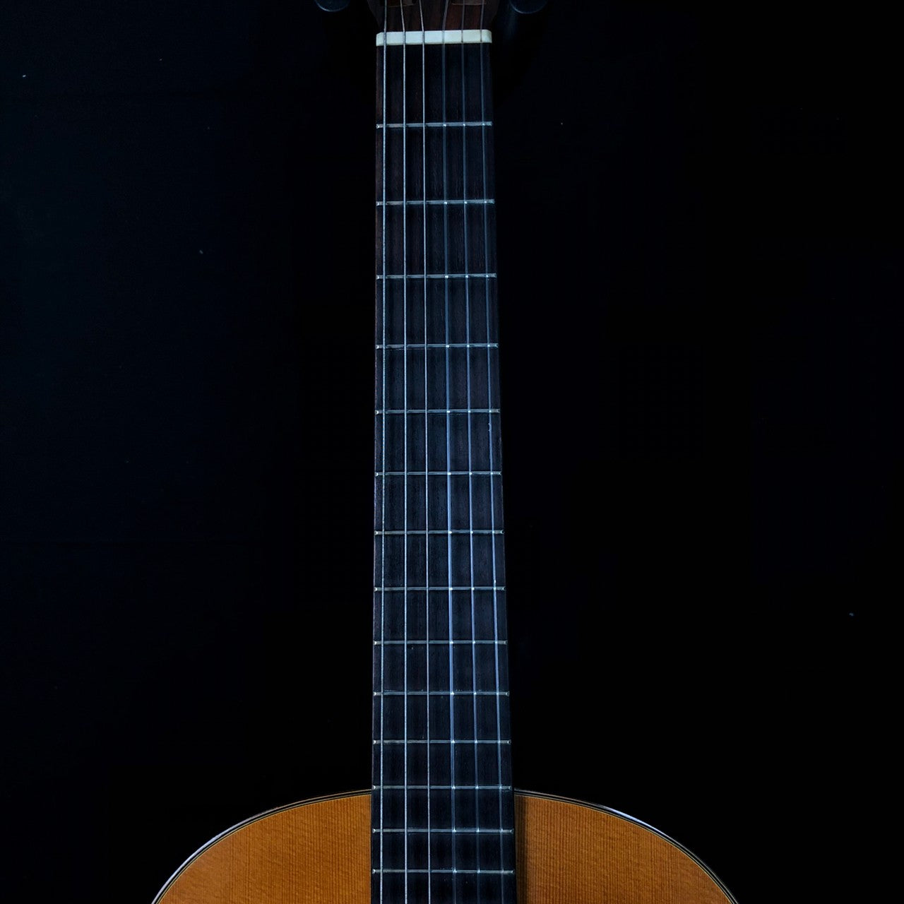 ARIA SA-20