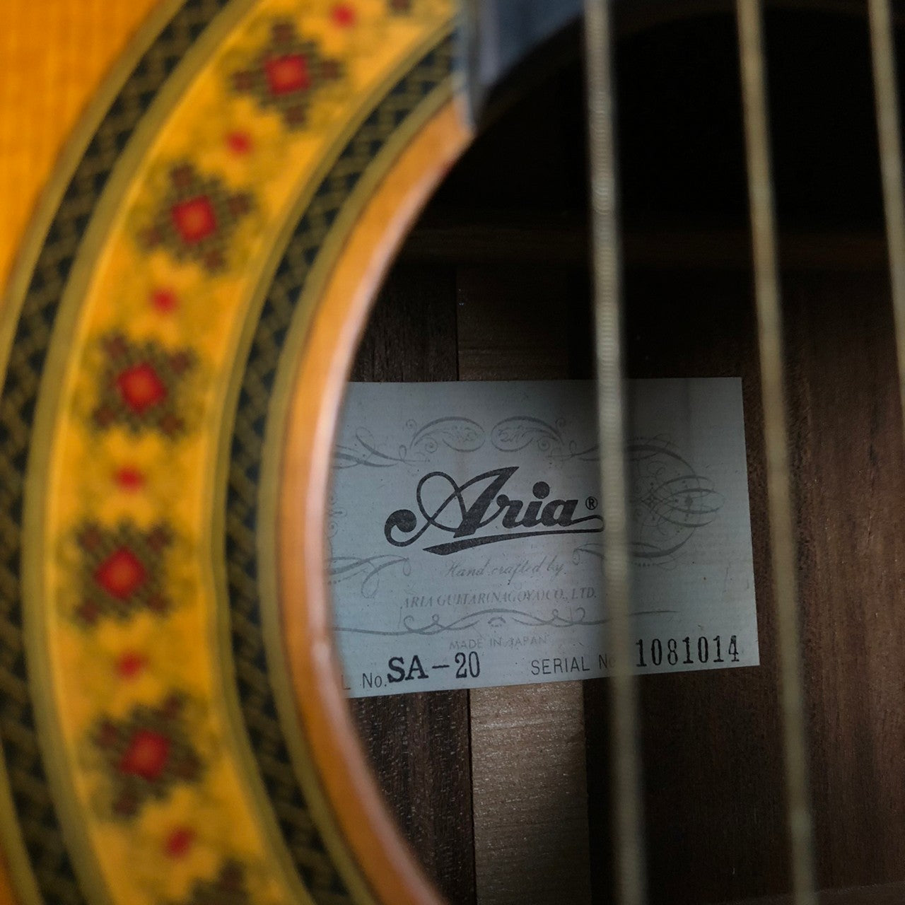 ARIA SA-20