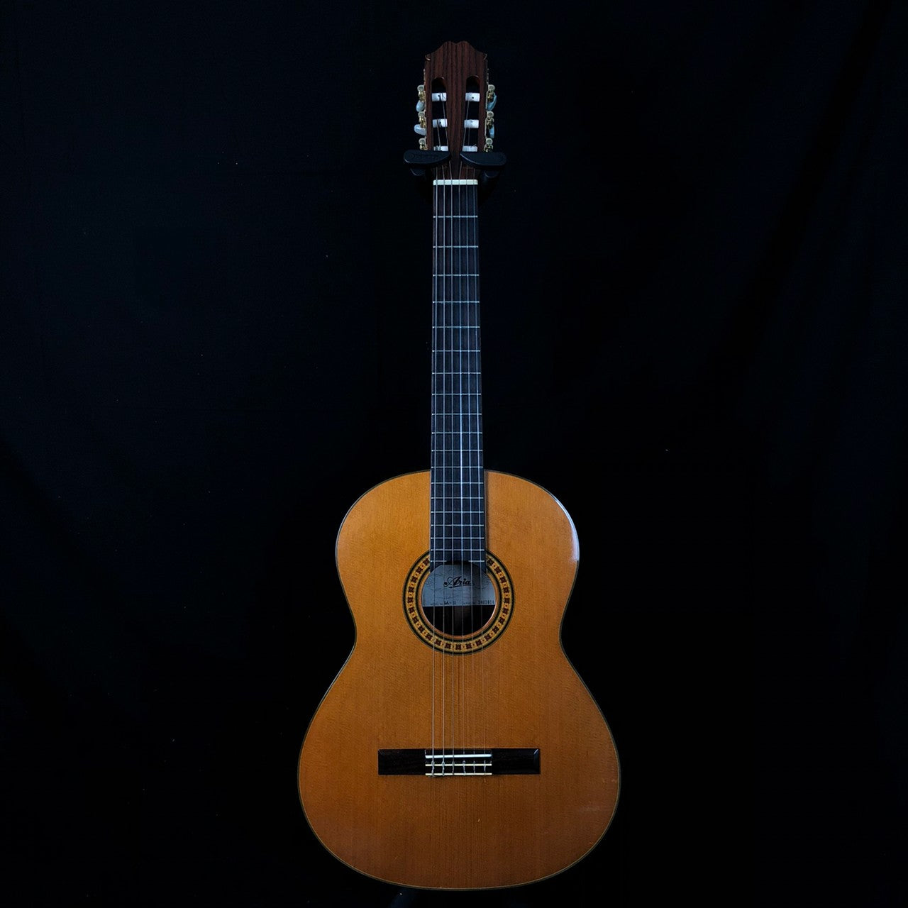 ARIA SA-20
