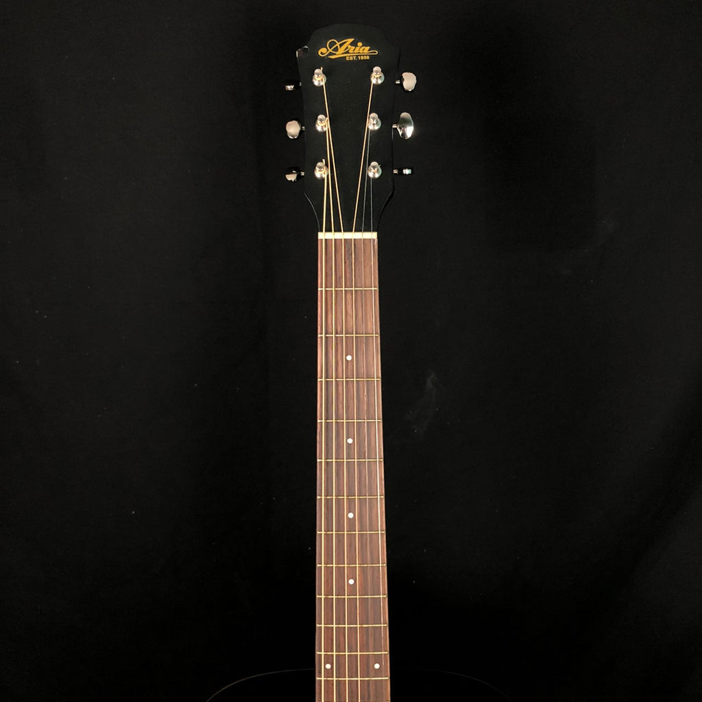 ARIA 101MTBK