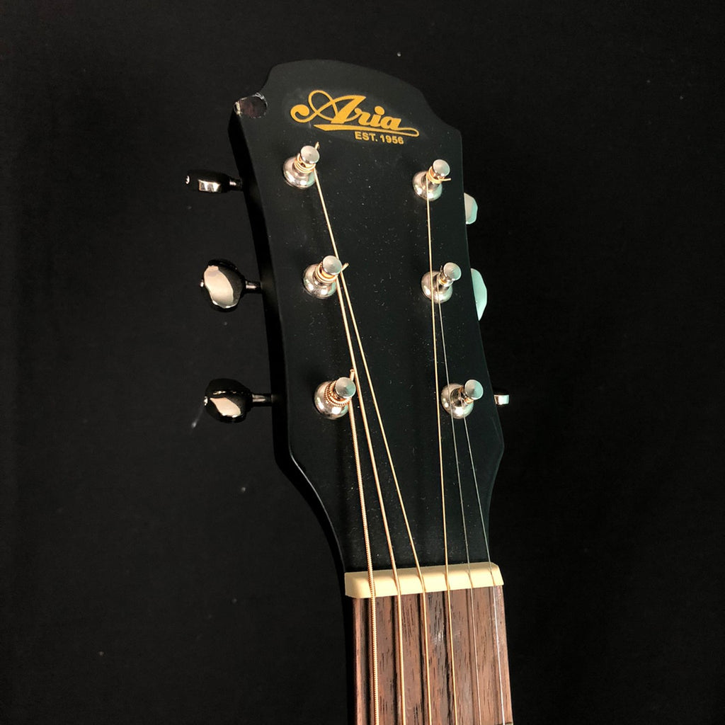 ARIA 101MTBK