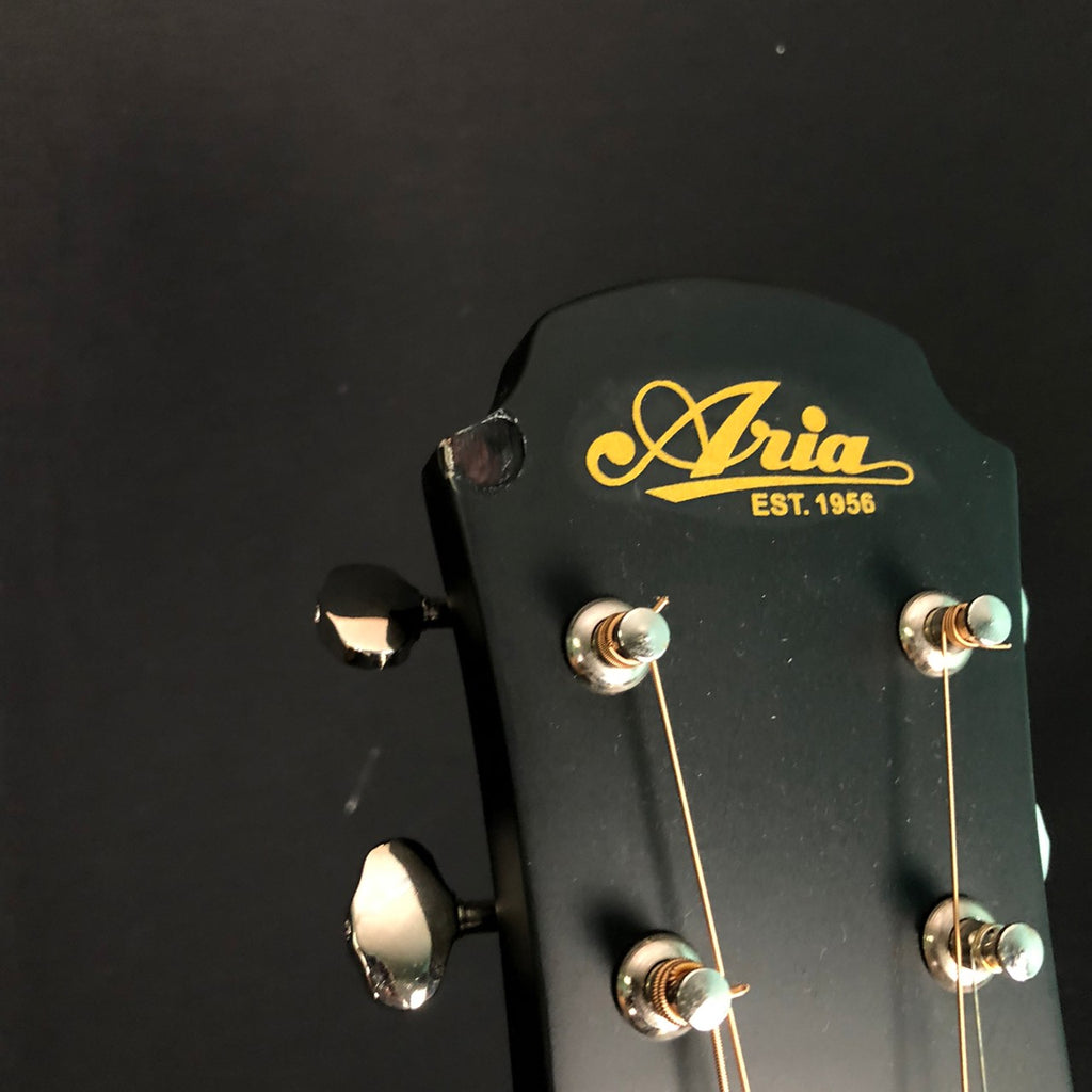 ARIA 101MTBK