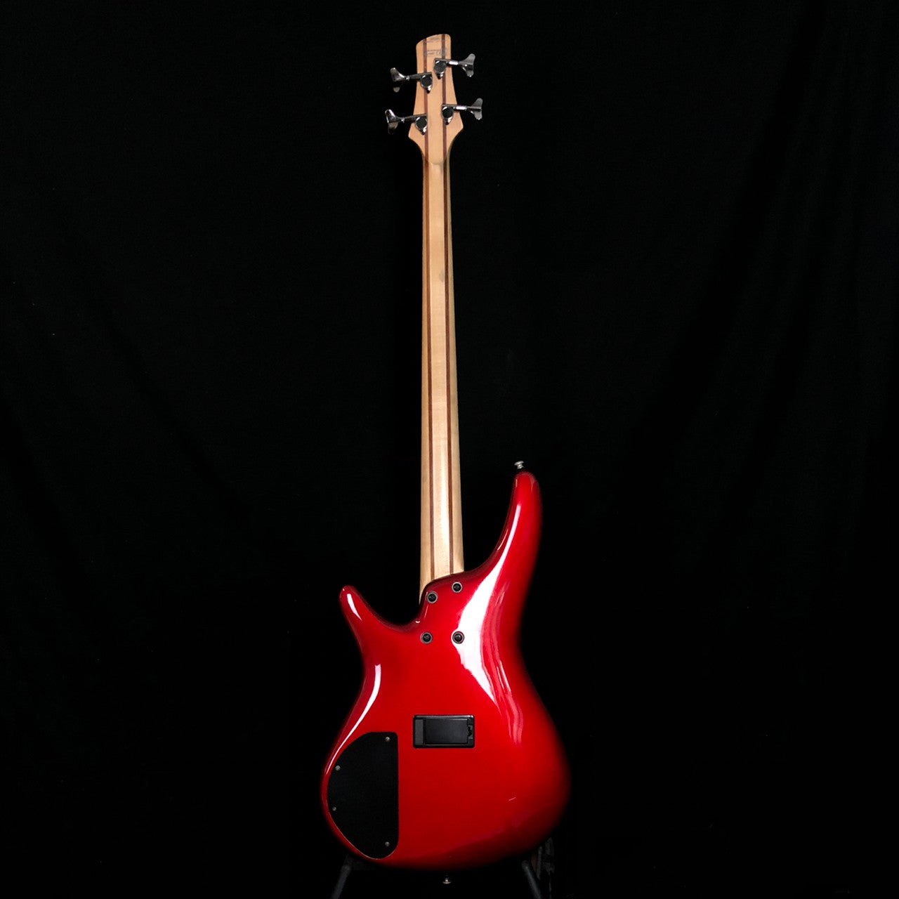 SDGR Ibanez SR300