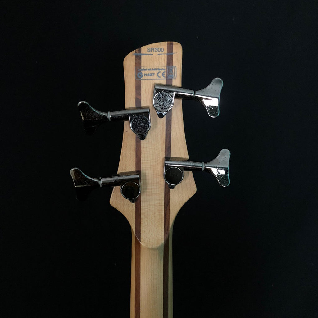 SDGR Ibanez SR300