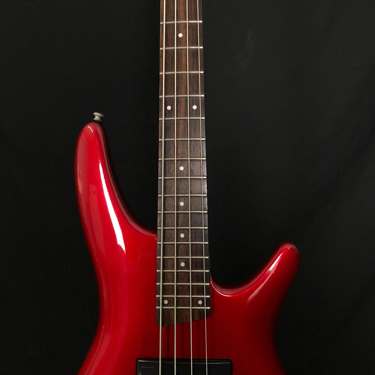 SDGR Ibanez SR300