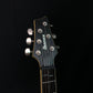 Ibanez SZ520fm