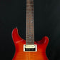 PRS SE Custom 22