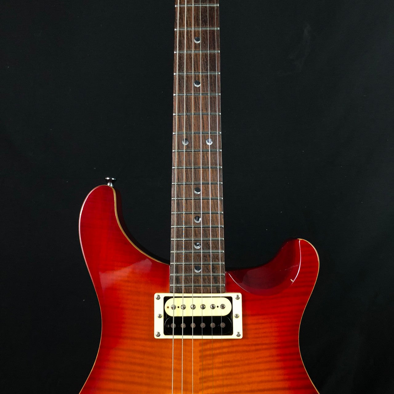 PRS SE Custom 22