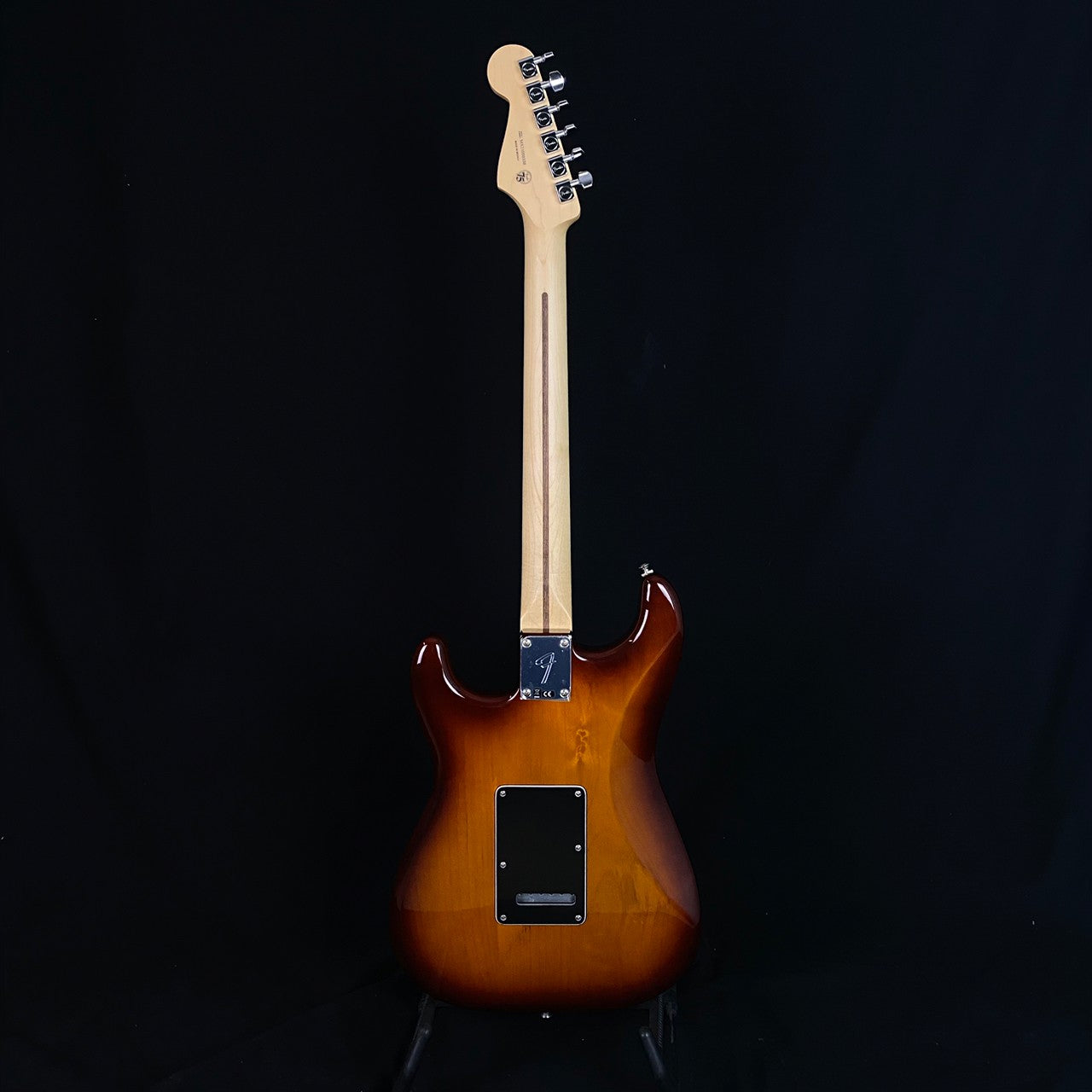 Fender Player Stratocaster Plus Top