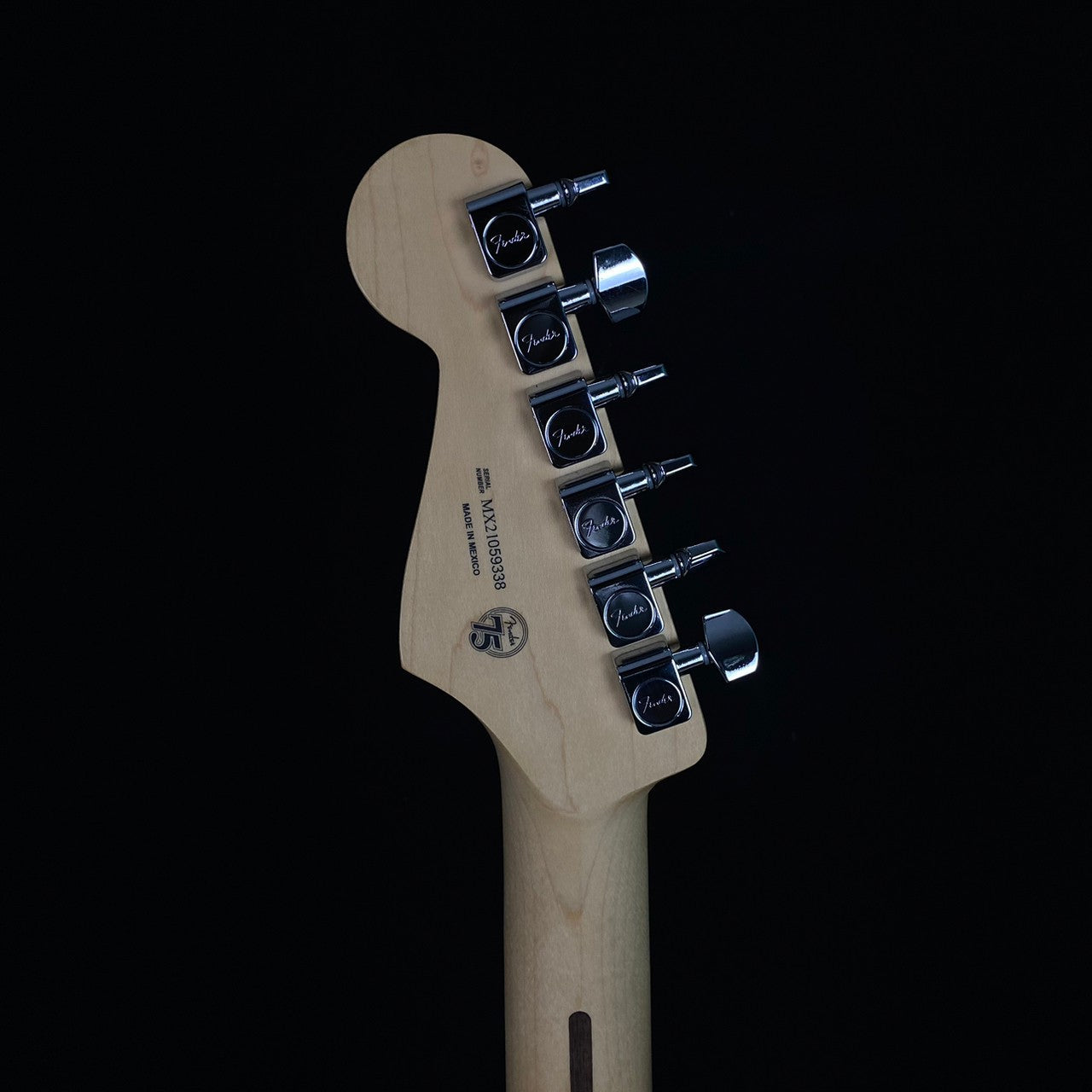 Fender Player Stratocaster Plus Top