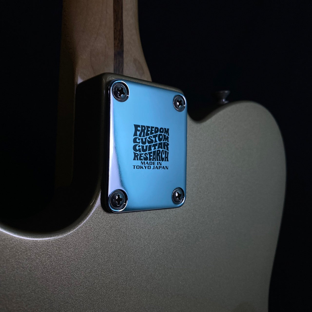 Fender Cabronita Thinline