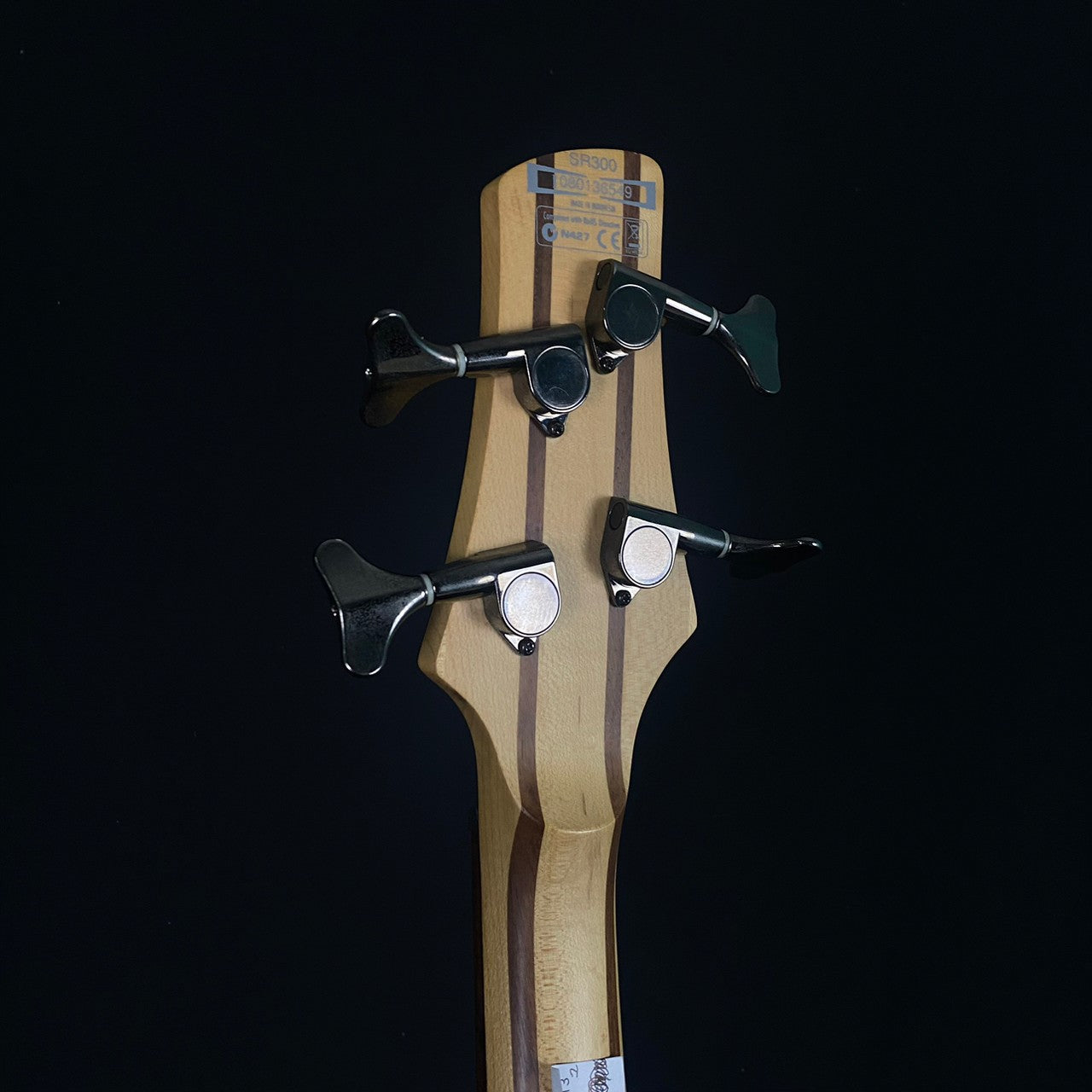 Ibanez SDGR SR300